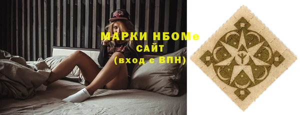 прущие грибы Надым