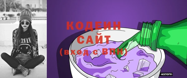 прущие грибы Надым