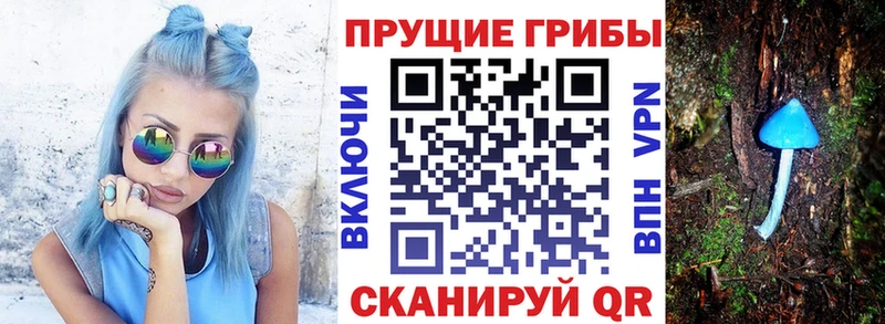 Галлюциногенные грибы Cubensis  цена наркотик  Павловский Посад 