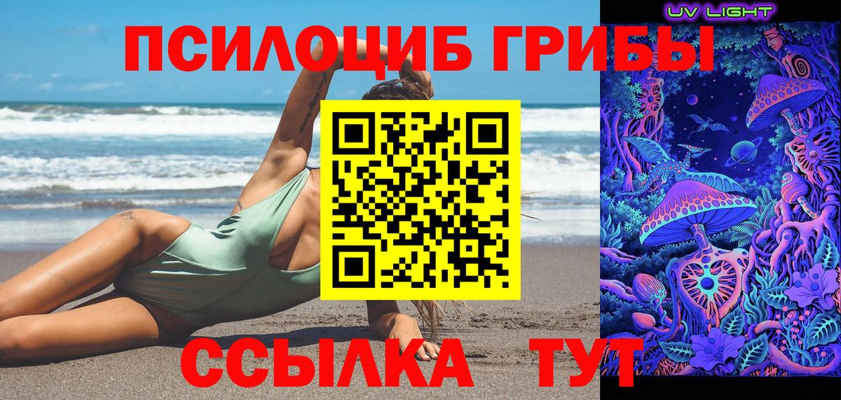 сколько стоит  Псилоцибиновые грибы GOLDEN TEACHER  Вход с VPN  Павловский Посад 