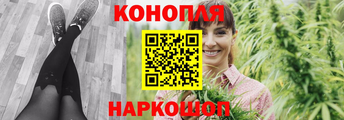 Канабис Павловский Посад